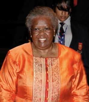 <span class="mw-page-title-main">Ivy Matsepe-Casaburri</span> South African politician (1937–2009)