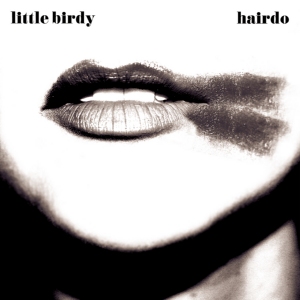Hairdo (song) 2009 single by Little Birdy