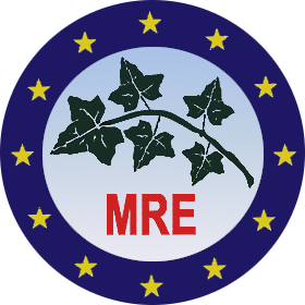<span class="mw-page-title-main">European Republicans Movement</span> Political party in Italy