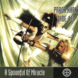 <i>A Spoonful of Miracle</i> 1993 studio album by Praga Khan