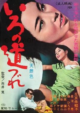<i>Sexy Partners</i> 1967 Japanese film