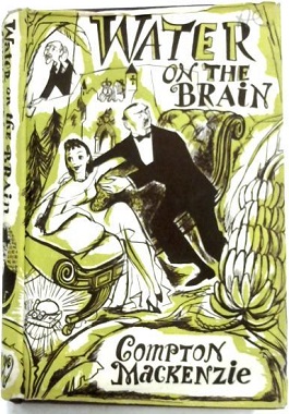 <i>Water on the Brain</i> 1933 novel