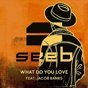 <span class="mw-page-title-main">What Do You Love</span> 2016 single by Seeb featuring Jacob Banks