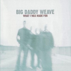 <i>What I Was Made For</i> 2005 studio album by Big Daddy Weave