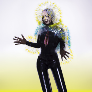 File:Björk - Vulnicura (Official Album Cover).png