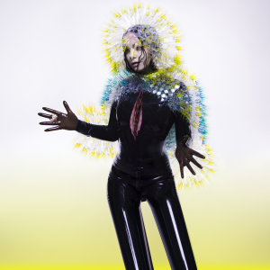 Vulnicura Wikipedia