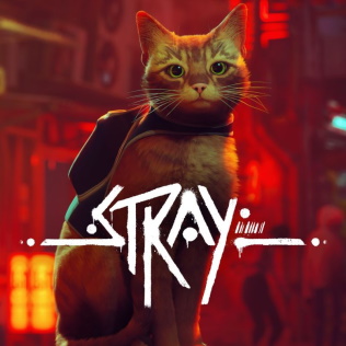 Picture of a game: Stray