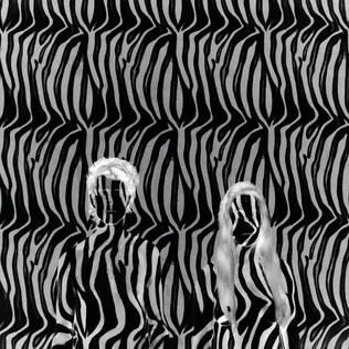 Zebra (Beach House song) 2010 single by Beach House