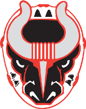 File:Birmingham Bulls (SPHL) logo.png