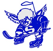 <span class="mw-page-title-main">Dubuque Fighting Saints (1980–2001)</span> American former ice hockey team