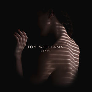 <i>Venus</i> (Joy Williams album) 2015 studio album by Joy Williams