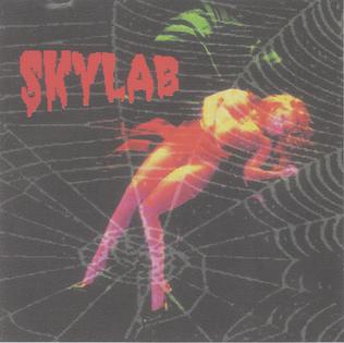 <i>Skylab</i> (album) 1999 studio album by Rogério Skylab