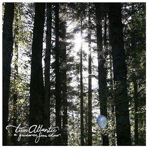 <i>A Guidance from Colour</i> 2008 EP by Twin Atlantic