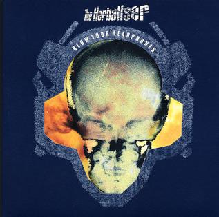 <i>Blow Your Headphones</i> 1997 studio album by The Herbaliser