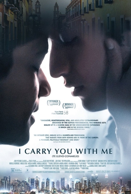 <i>I Carry You with Me</i> 2020 American-Mexican drama film