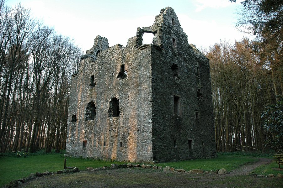 Survivor Tree (Scotland) - Wikipedia