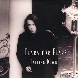 <span class="mw-page-title-main">Falling Down (Tears for Fears song)</span> 1996 single by Tears for Fears