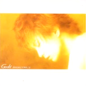 <span class="mw-page-title-main">Kimi no Tame ni Dekiru Koto</span> 2001 single by Gackt