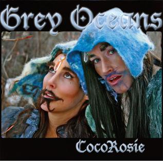 <i>Grey Oceans</i> 2010 studio album by CocoRosie