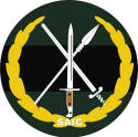 File:SA Infantry Formation badge.jpg