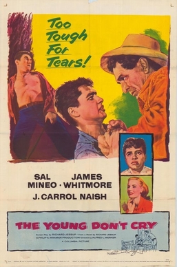 <i>The Young Dont Cry</i> 1957 film by Alfred L. Werker