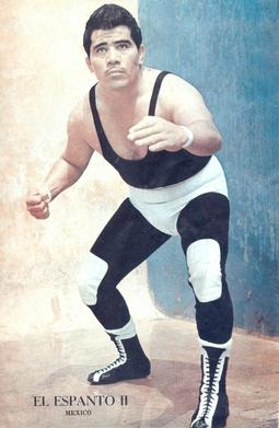 <span class="mw-page-title-main">Espanto II</span> Mexican professional wrestler