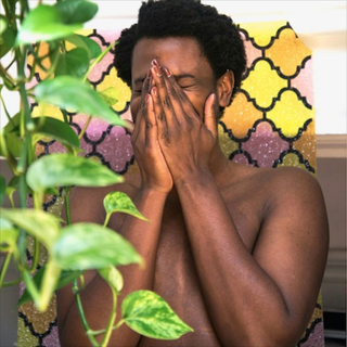 <i>Hope</i> (Shamir album) 2017 studio album by Shamir