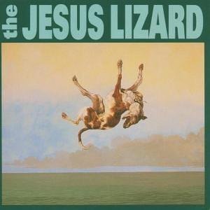 <i>Down</i> (The Jesus Lizard album) 1994 studio album by The Jesus Lizard