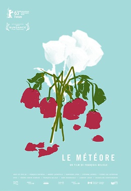 <i>The Meteor</i> (film) 2013 Canadian film