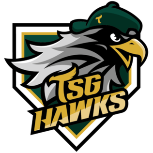 File:TSG Hawks.png