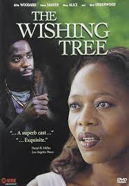 <i>The Wishing Tree</i> (1999 film) 1999 American film