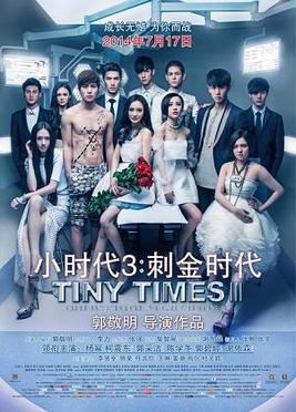 <i>Tiny Times 3</i> 2014 Chinese film