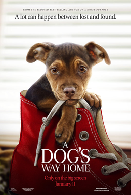 Dog movie discount on netflix 2018