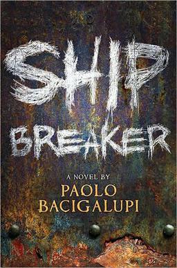 <i>Ship Breaker</i>