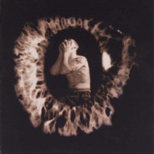 <i>Sown in Weakness, Raised in Power</i> 1999 studio album by Mindrage