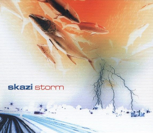 <i>Storm</i> (Skazi album) 2003 studio album by Skazi