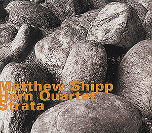 <i>Strata</i> (Matthew Shipp album) album by Matthew Shipp