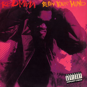 <span class="mw-page-title-main">Blow Your Mind (Redman song)</span> 1992 single by Redman