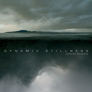 <i>Dynamic Stillness</i> 2009 studio album by Steve Roach