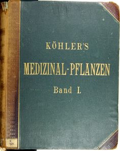 File:Köhler's Medizinal Pflanzen.jpg