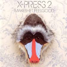 <i>Makeshift Feelgood</i> 2006 studio album by X-Press 2