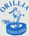 Orillia Terriers Sr.JPG