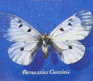 <i>Parnassius Guccinii</i> 1993 studio album by Francesco Guccini