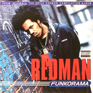 <span class="mw-page-title-main">Funkorama</span> 1995 single by Redman