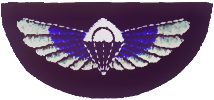 SAS pattern parachute wings
