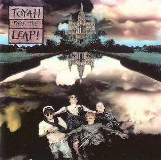 <i>Take the Leap!</i> 1993 studio album by Toyah