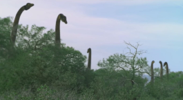 Screenshot from the 1997 Walking with Dinosaurs pilot episode, showing Cetiosaurus with erect necks. Neither Cetiosaurus nor erect sauropod necks made their way into the finished series. This footage was also used in the "Making Of" special.