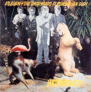 <i>Wotabunch!</i> 1977 studio album by Kilburn and the High-Roads