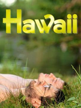 File:Hawaii 2013 film poster.jpg