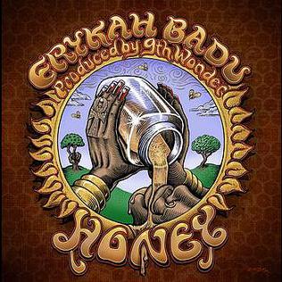 <span class="mw-page-title-main">Honey (Erykah Badu song)</span> 2007 single by Erykah Badu